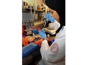 سيتمكن المشاركون في البرنامج التدريبي من العمل مع نخبة من الباحثين العلماء والأطباء المشهود لهم عالمياً في المختبرات العلمية المتطورة ذات المعايير العالمية بالكلية.