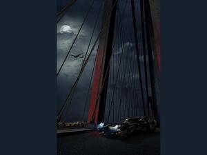 الخطوط الجوية التركية