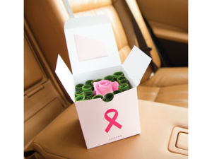 سيقدم كابتن كريم أكثر من 500 قسيمة للتصوير الشعاعي للثدي (ماموغرافي) وورود وردية اللون مقدمة من شركة أليسار للورود إلى عملاء كريم من الإناث.