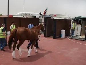 طيران الإمارات