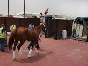 طيران الإمارات