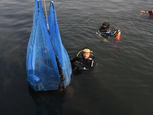 حملة لتنظيف قاع الخور