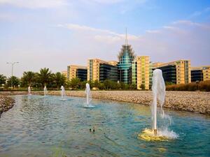 سلطة واحة دبي للسيليكون