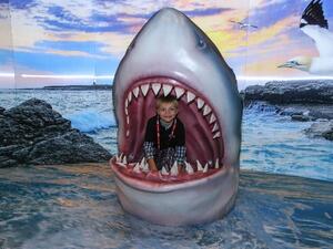 لا تتوقف عن التساؤل