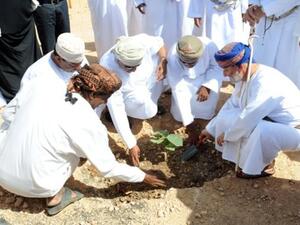 ESO Plant tree