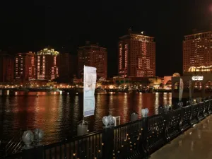 ساعة الأرض 2016