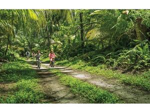  يقدّم مركز كاست اواي مساراً لركوب الدراجات يمتد على مسافة 15 كيلومتراً '9 أميال'.