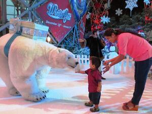 عالم فيراري أبوظبي يستعد للاحتفال بفصل الشتاء