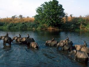 العاصمة الكونغولية كينشاسا