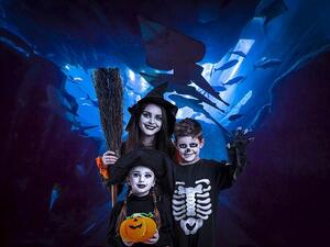 احتفالات الهالووين مع إعمار للترفيه