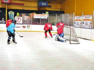 ستتنافس أربع فرق وطنية للفوز دوري دي إتش ال للهوكي الجليدي.