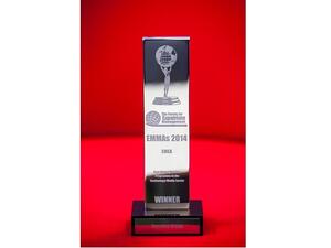 EMMA Award for Best Global Talent Mobility Programme