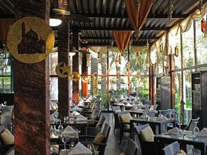 ريكسوس النخلة