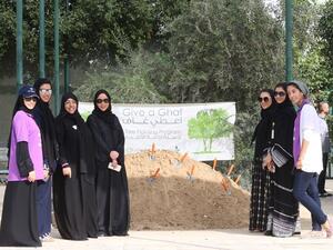Employees from DP World Head office planting local Ghaf trees in Dubai