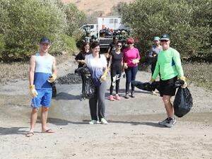 Mangrove Cleanup