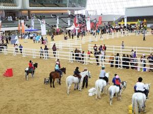 أطفال يستمتعون بركوب الأمهر ضمن الفعاليات التي نظمتها مؤسسة قطر للاحتفال باليوم الرياضي للدولة.