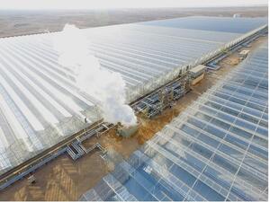Miraah Solar Steam