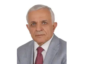 الدكتور رضوان السيد