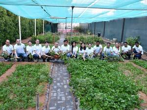 Covering 430 square metres of space, Ramada Ajman’s urban farm grows seasonal crops which are used in the hotel’s in-house kitchen.