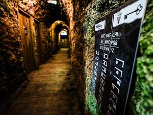 TEPfactor Dubai is a brand-new adventure experience housing 21 challenges that test the players’ diverse skills.