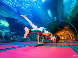 Open to the public, the Underwater Yoga Retreat will feature dedicated sessions that draw their theme from water. 