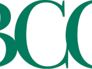 مجموعة بوسطن كونسلتينج