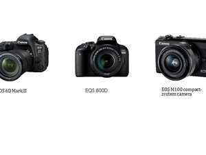 الكاميرات الرقمية ذات العدسة الأحادية العاكسة SLR، والكاميرات الرقمية المدمجة.