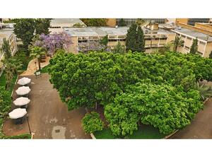 الجامعة الأميركية في بيروت