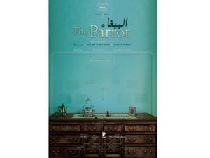 يحكي الببغاء قصة عائلة مزراحية يهودية تونسية عام 1948، والتي تحاول الاستقرار في حياتها الجديدة في حيفا بفلسطين.