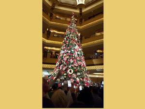 اطول شجرة عيد ميلاد في الاماارت