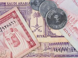 The private sector’s contribution to the gross domestic product of Saudi Arabia grew to 48 percent in 2017.  (Shutterstock)