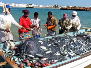 The ministry is expecting to raise fish production to 1.4mn tonnes in 2023 from 280,000 tonnes in 2016. (Shutterstock)