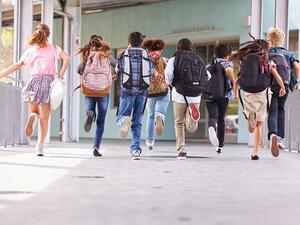 The initiative reflects the efforts of the Knowledge Fund to support the development of the education sector and encourage investment in education. (Shutterstock)