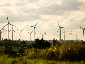 Solar and wind power generation has risen from 2 per cent to 10 per cent of the country’s generated power since 2014. (Shutterstock)