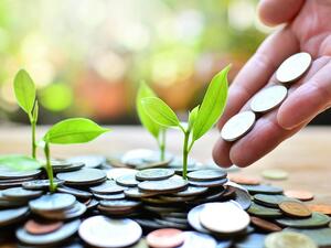 The process for funding such companies will involve monetary funds, which will have the authority to collect the necessary funding for these companies. (Shutterstock)