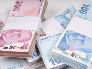 The currency recovered most of its losses after significant tightening by the country's central bank. (Shutterstock)