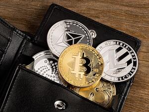 قد ارتفعت قيمة عملة بيتكوين بنسبة 1390% في العام الماضي، وارتفعت قيمة العملات الإلكترونية الأخرى بنفس النسبة تقريباً.