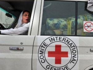 خطف موظفة تونسية في اللجنة الدولية للصليب الاحمر في صنعاء
