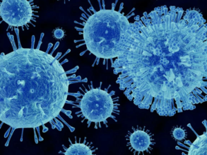 A scientific drawing of the norovirus at a microscopic level. (Shutterstock) A scientific drawing of the norovirus at a microscopic level. (Shutterstock)