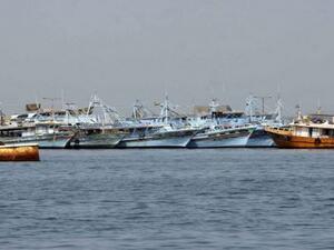 بتكلفة 24 مليون جنيه تمليك 12 سفينة لصغار الصيادين بالسويس