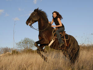 Horse-riding is a popular sport in the desert nation. (File photo) 