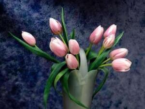 في الدرب نمت الزهور