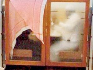 A foolproof approach to concealment. (Social media)