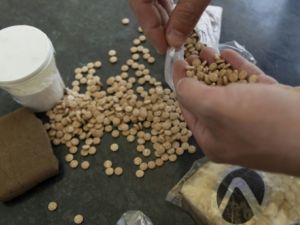 السعودية تضبط خمسة ملايين قرص من الامفيتامين المخدر 
