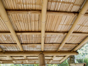 The houses are going to be cheaper than wood and way cheaper than concrete housing (Shutterstock/File)