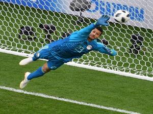 محمد الشناوي