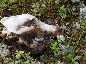 (Shutterstock/File Photo)