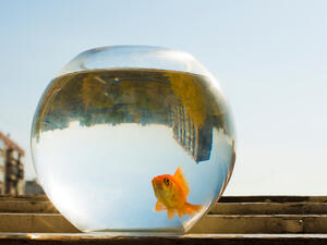 (Shutterstock/ File)