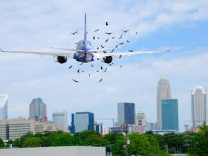 (Shutterstock/File Photo)