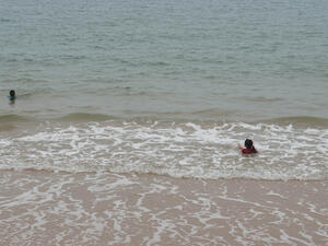 (Shutterstock/ File Photo)